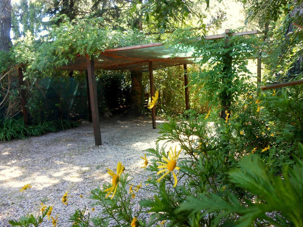 Cabanas Caramelo Lodge *