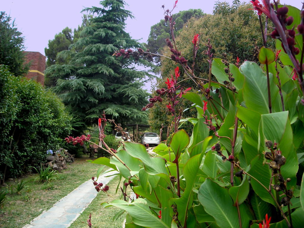 Cabanas Caramelo * Villa Ventana